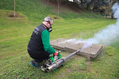 Kocaeli'de sivrisinekle mücadele çalışmaları sonuç verdi