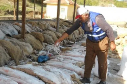 THK Keşan Şubesi 2026’da deri toplamayacak